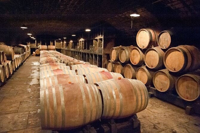 Rows of oak barrels in a long, dimly lit cellar