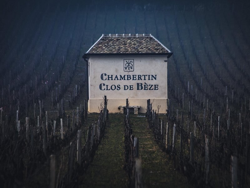 A stone hut painted Chambertin Clos de Bèze, lit among dark vine rows