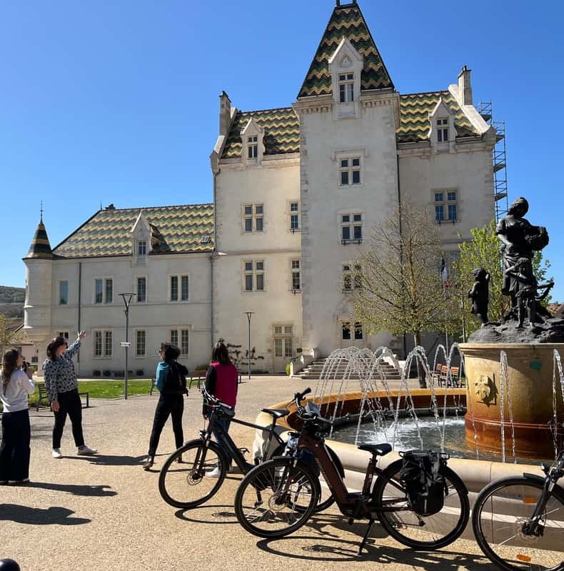 Dijon/Beaune: Full day Ebike Burgundy tour, tastings & lunch