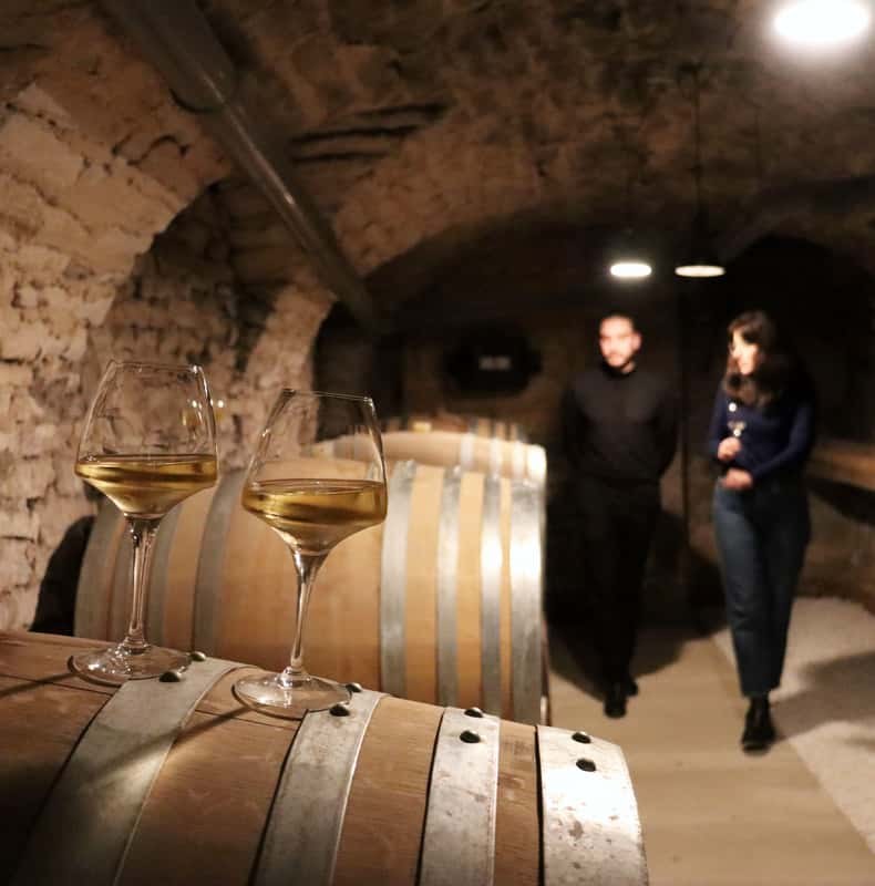 Historic Center of Dijon : Discovery Tasting Wine Burgundy