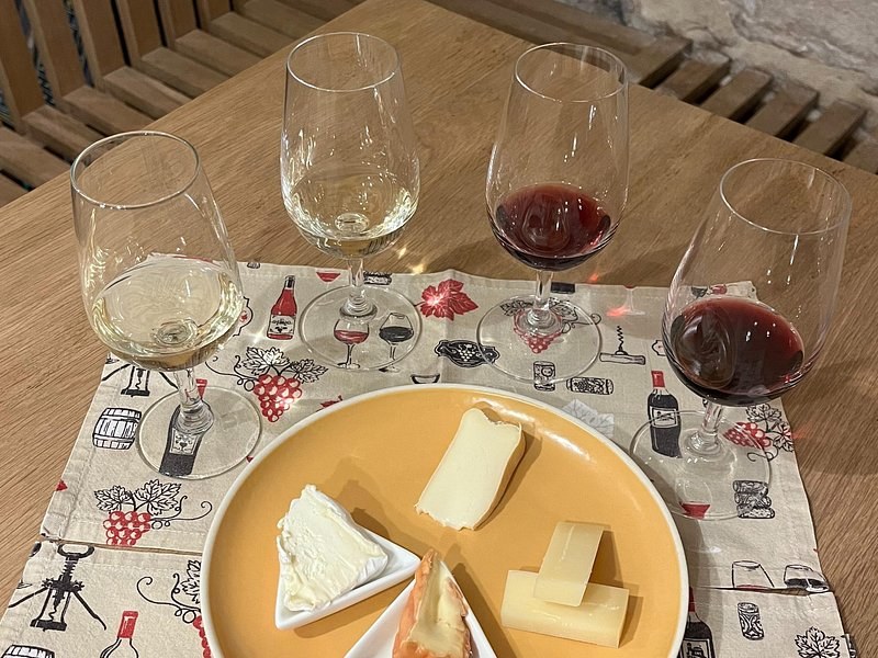 Two white and two red wines in tasting glasses beside a plate of four cheeses