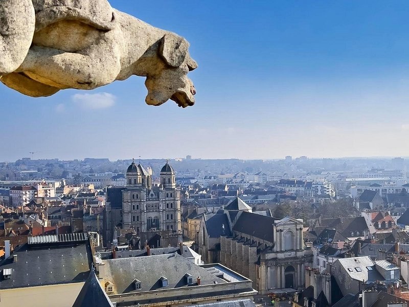 A stone gargoyle jutting over a city of slate roofs, a twin-towered church beyond