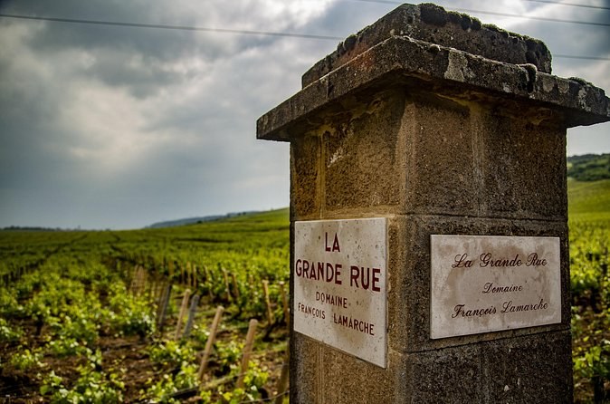 A stone pillar marked La Grande Rue at the corner of a vineyard