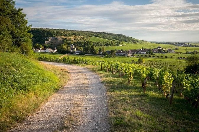 A gravel track between vines and a hedge, a village in the valley below