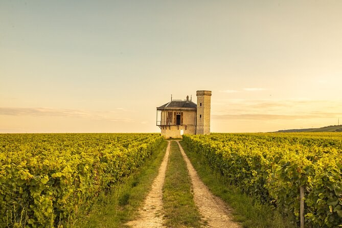 A grass track between vine rows running to a stone lodge and its tower